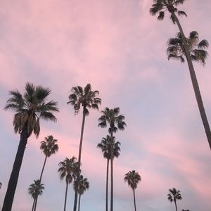 Meet your Posher, Karina